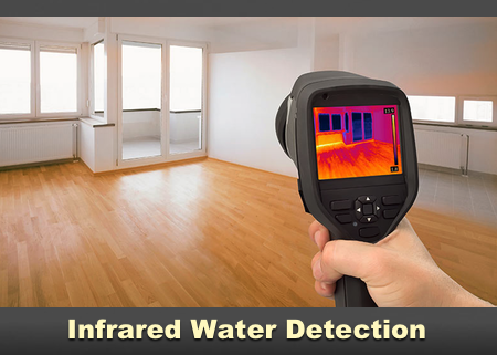 Infrared Mold Detection